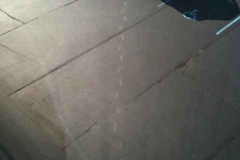 Ghost Footsteps